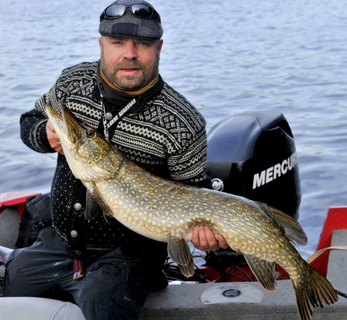 Det nærmer seg høstfiske. Her kommer noen av mine  tips som kanskje kan være til hjelp for en spinnfisker.