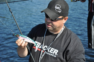 PW shad