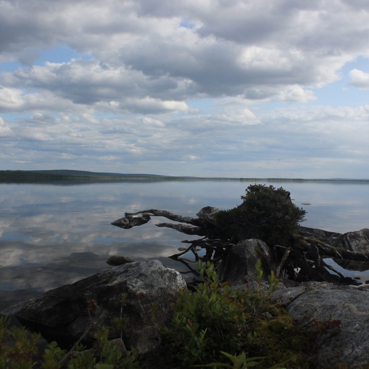 Sommersesongen 2015 – Klarte Øst-Finnmark å leve opp til mine forventninger?