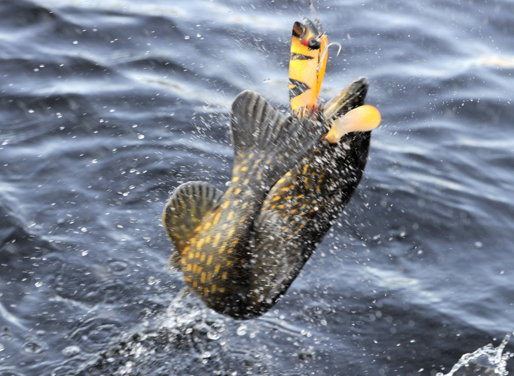 9 timers fiske og en fisk i båten på meg.