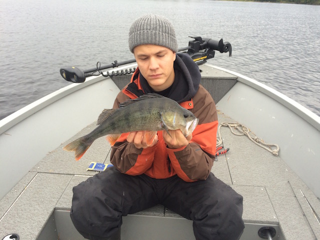 Alexander Eriksson bytter inn to nye abborer.