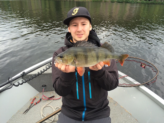 Linus  Storm med to nye inn.