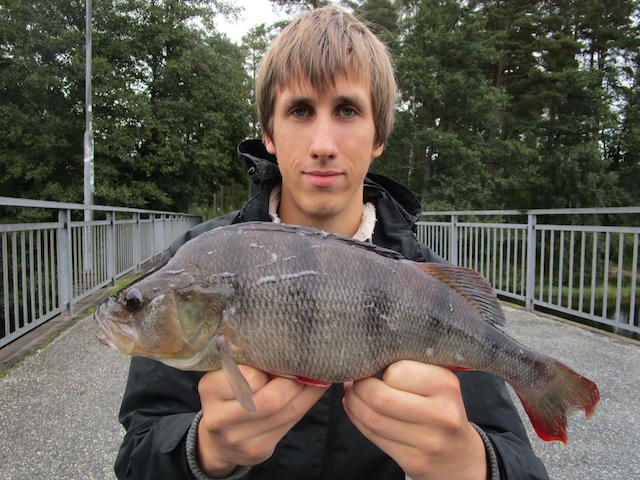 Peter Berggren..