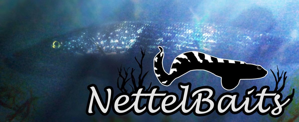 Verdens peneste gummi bete ? Pooldemo Nett-lake 2