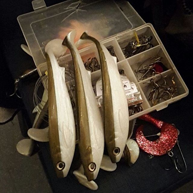 GÄDDA PÅ HÖSTEN? HUR GÖR WILLIAM EKSELL?