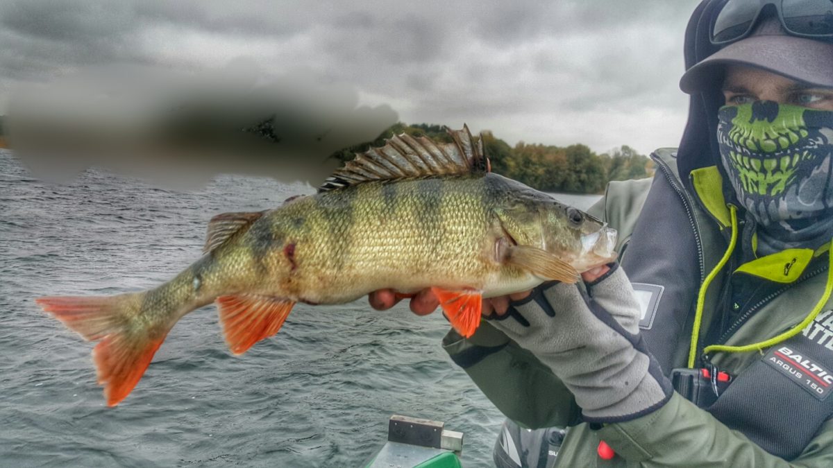 Oskar Forsberg upp på 5:e plats.