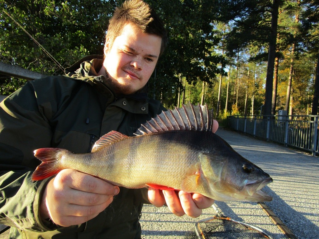 Marcus Lundberg bytter ut en abbor