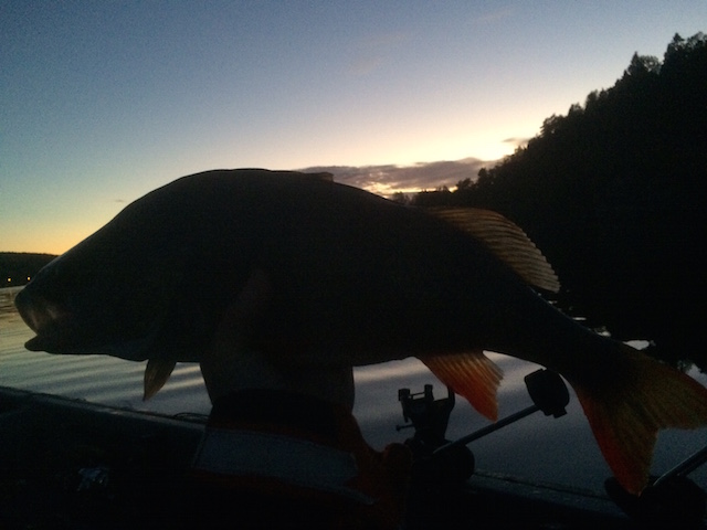 Jørgen Ødmann Andersen