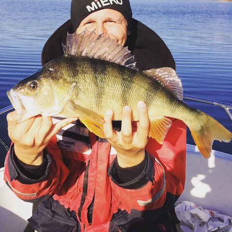 Michael Aho melder inn en 50cmérs Abbor!