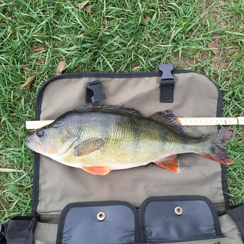 Tobias Ahlström med to flotte borrer..