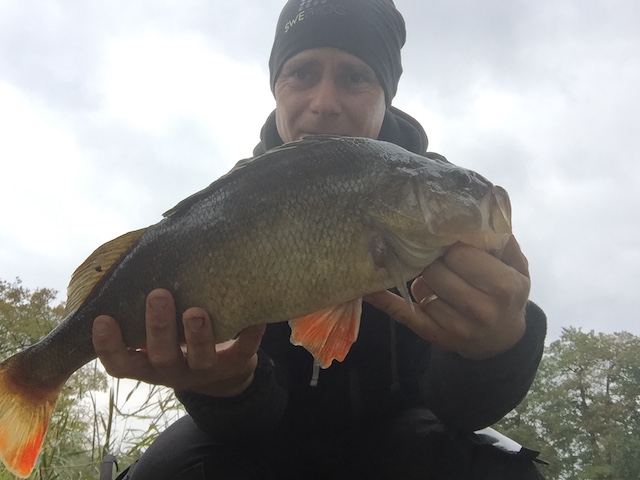 Tobias Ahlström med nesten 2kilos!!