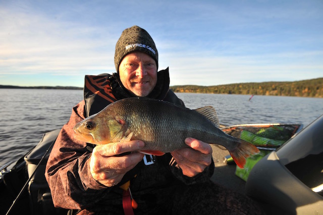 Steinar Unnestad