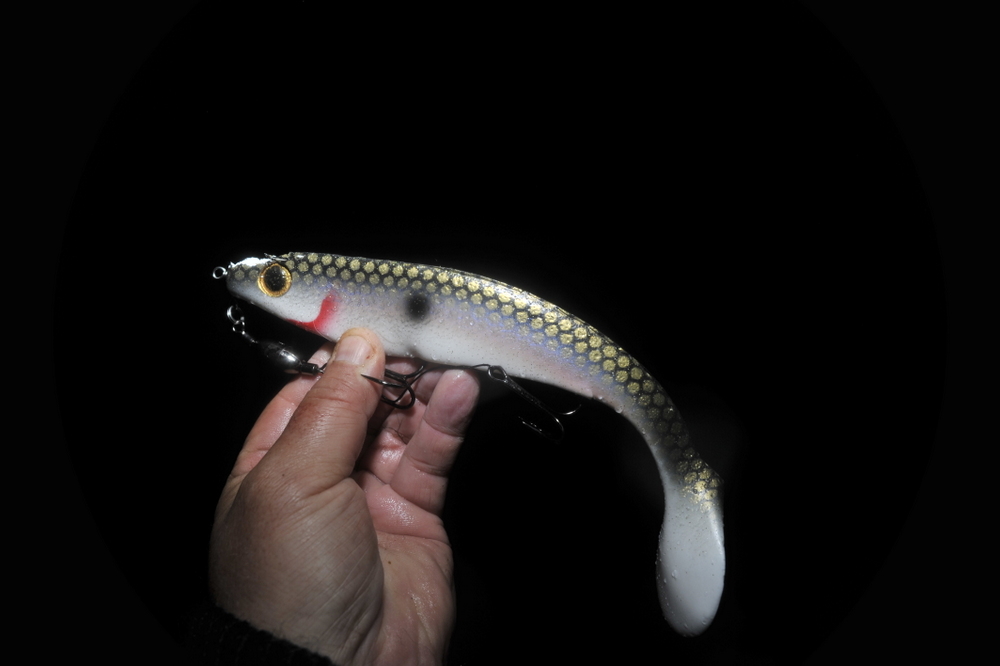 EN LITEN FILM FRA HELGENS FISKE.