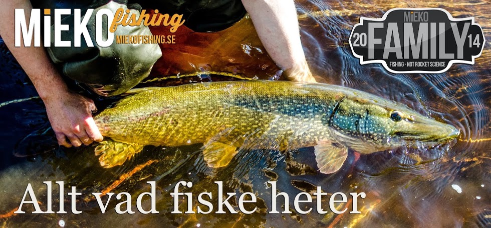 Overklig helg med fem tior på nära tolv kilo i medelvikt!!