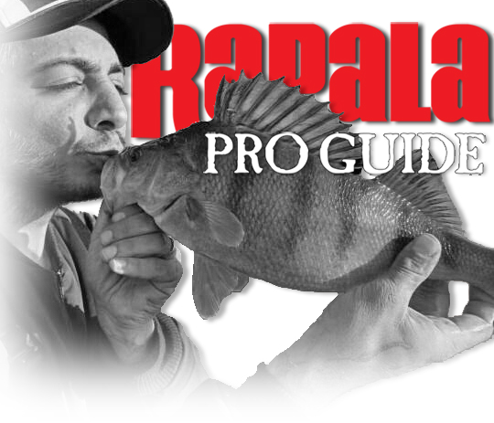 Intervju med Houtan från Rapala Pro Guide!