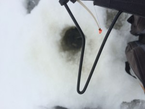 Prøve å fokusere på noe annet enn smertene, fant en stikke med indikator for å konsentrere meg om noe annet, synd det ikke funket