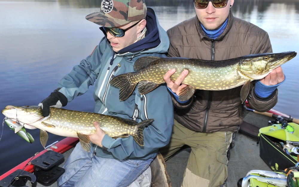 2015 mitt beste fiskeår hittil !!!