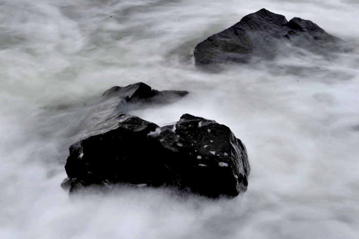 På SØ jakt på nyttårsaften.