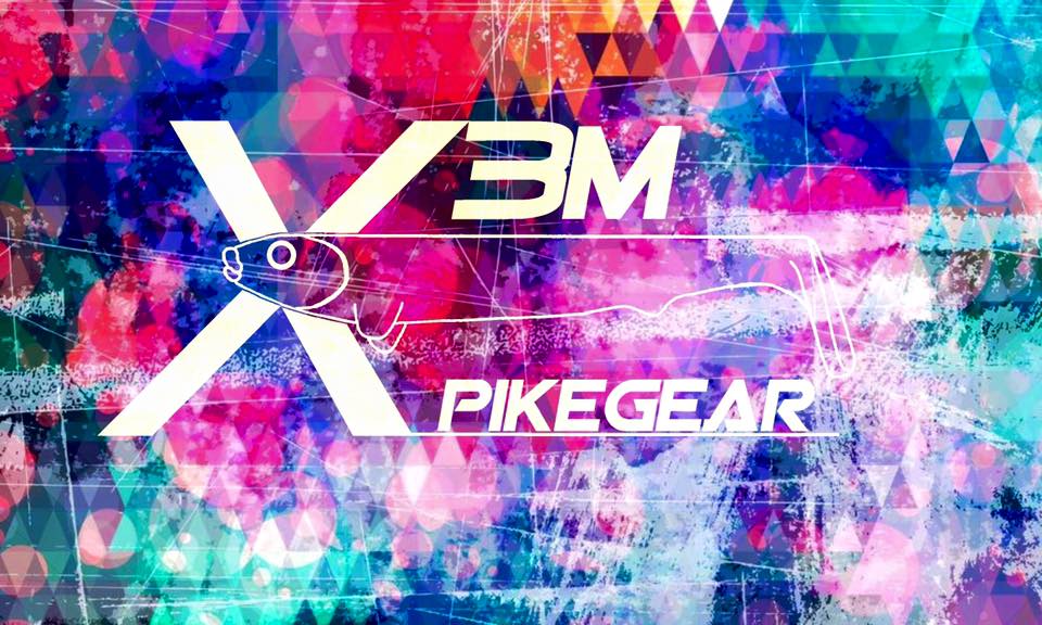 X3M Swimmer pooldemo