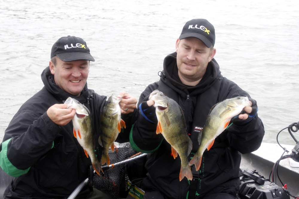 Illex och Abborre jigg