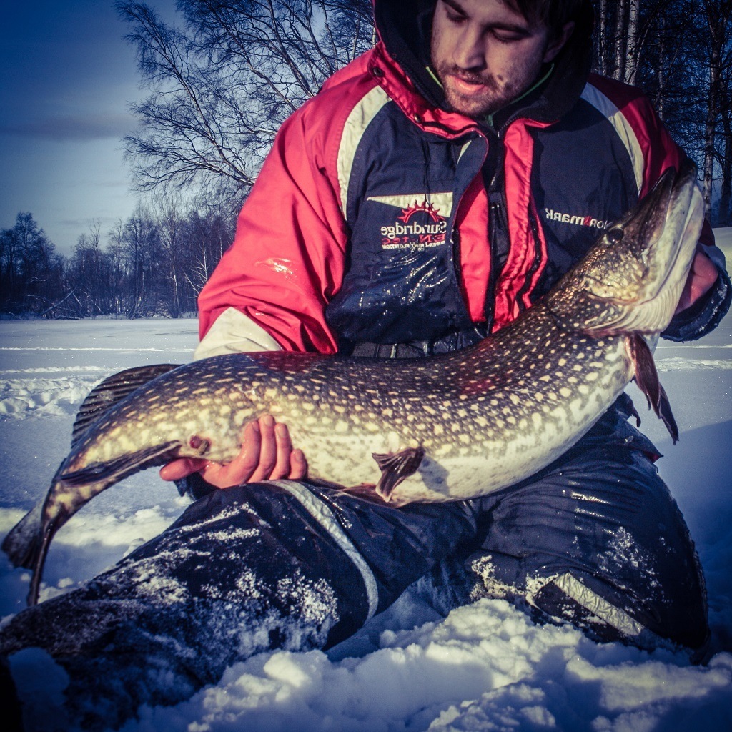 Gjedde 12520gr 113cm – Mikael Vestergren