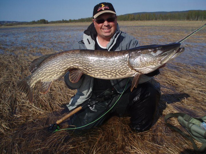 164887_122402007827044_5536486_n