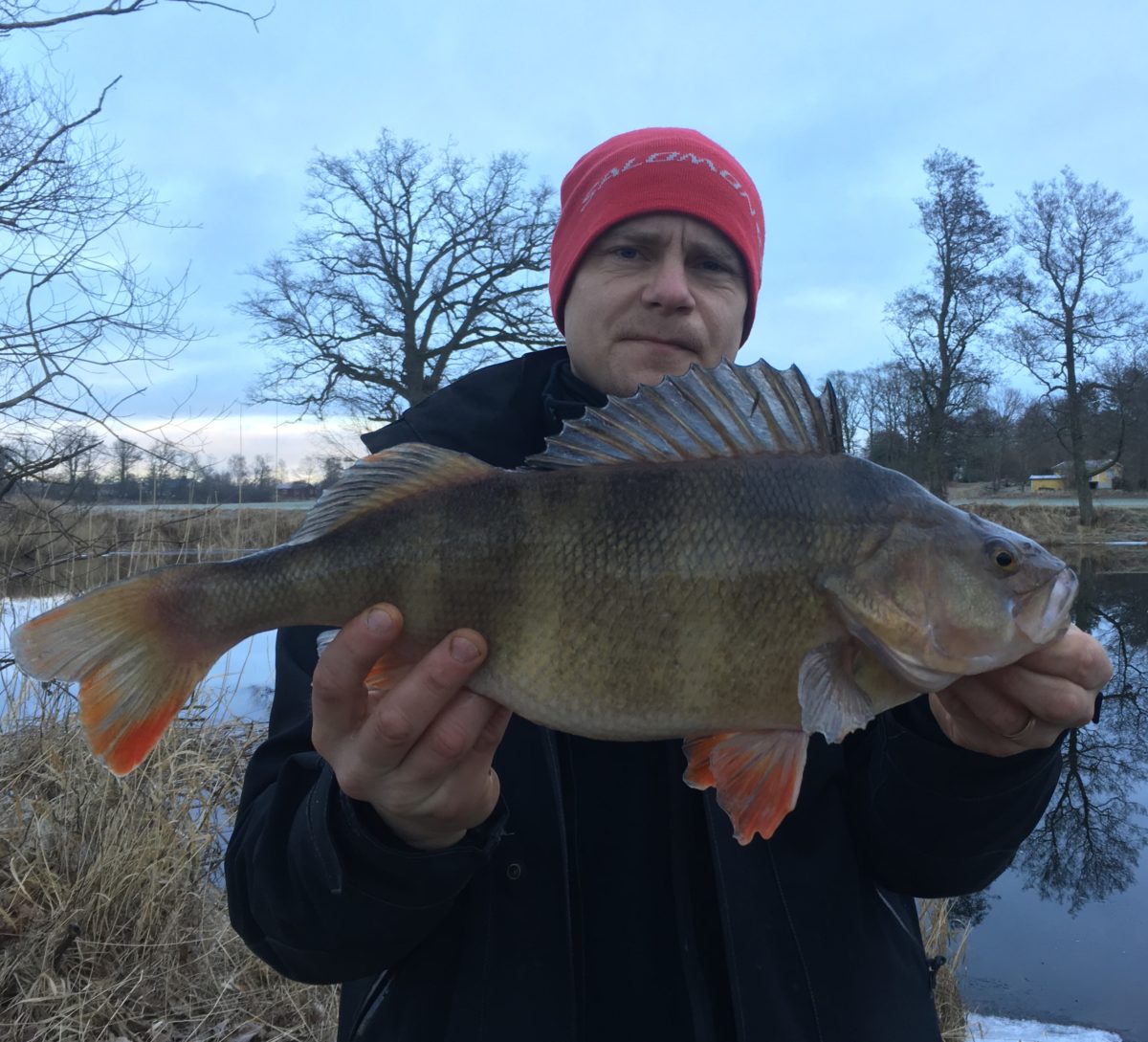 Tobias Ahlström med twå nye radiga krigare.