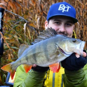 10427337_628079454005625_3013142006315942488_n