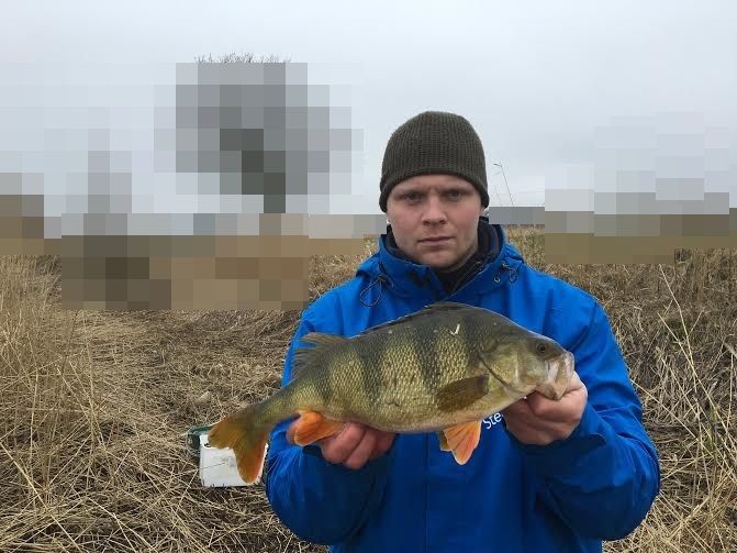 1100gr og 40cm
