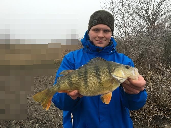 1250gr og 41cm
