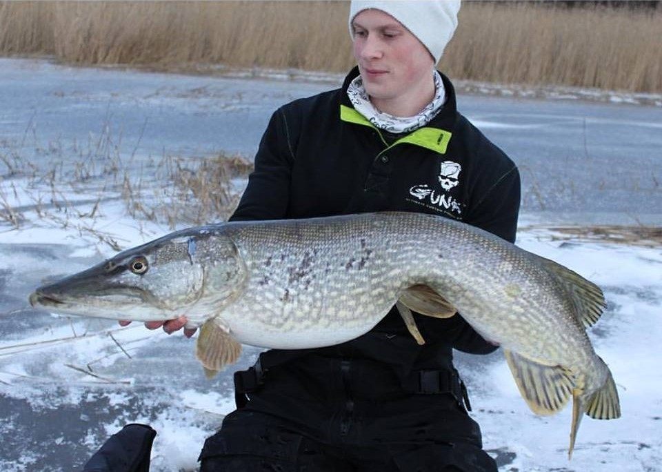 Ismete tips av Martin Wasberg.