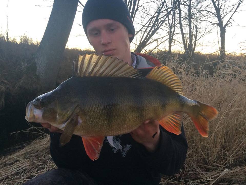 1340gr og 45cm