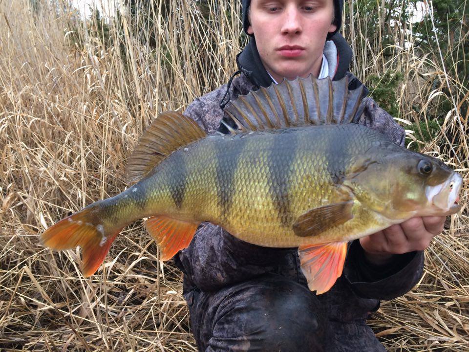 1415gr og 44cm