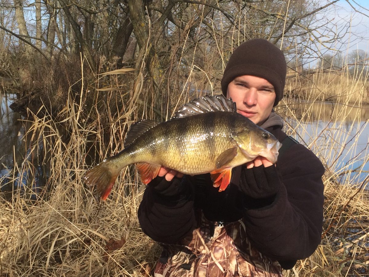 1590gr og 45cm er første fisken til Daniel