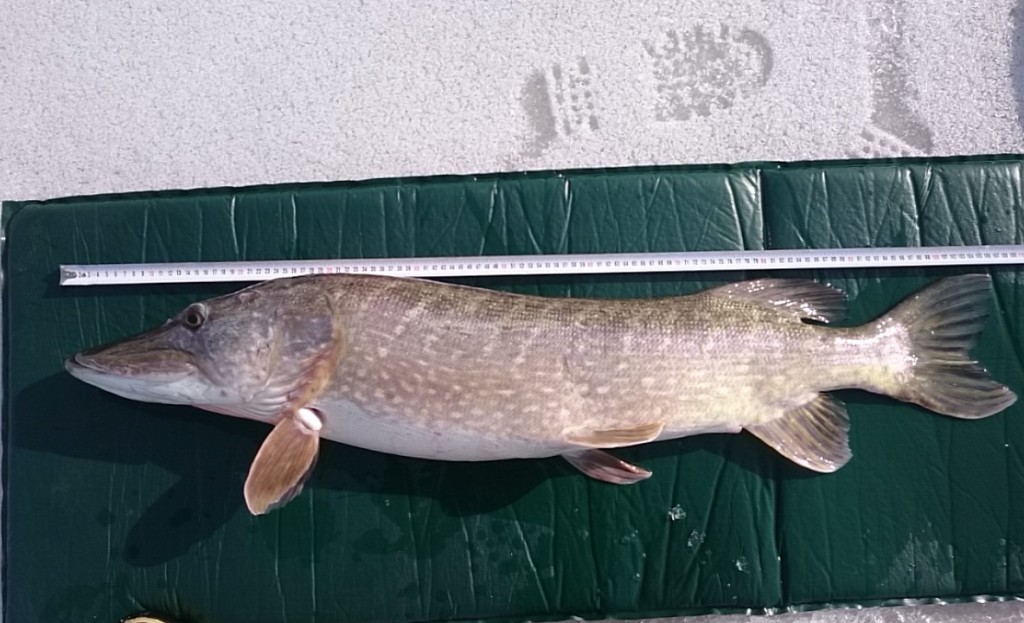 156e6ab16f1cfe---Snapchat-550263935510819490