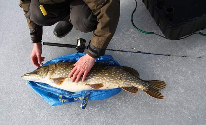 156f6e30ba8d21---12048724_10153931090765499_1392015097_n