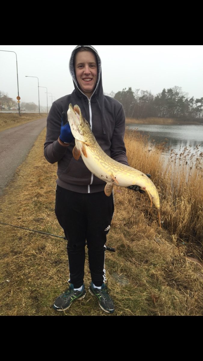 Välkommen in Johan Woksepp