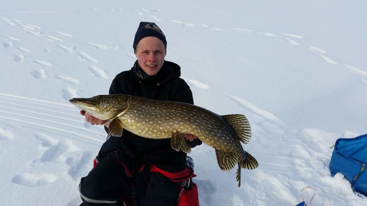 Joel Eriksson in med sin 3:e gädda