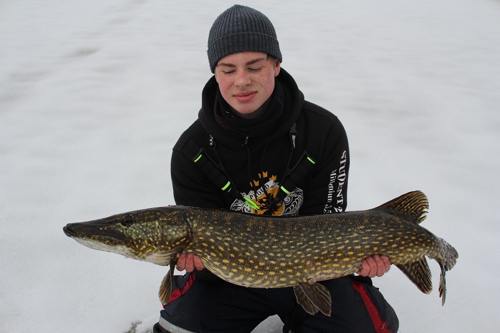 Hugo Stenbom med 3 stk 7+