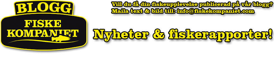 En dröm blir sann.