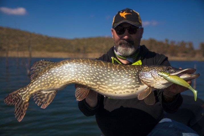 A G’BUMP FOR A PIKE  (gode tips på hvordan rigge en G bump)