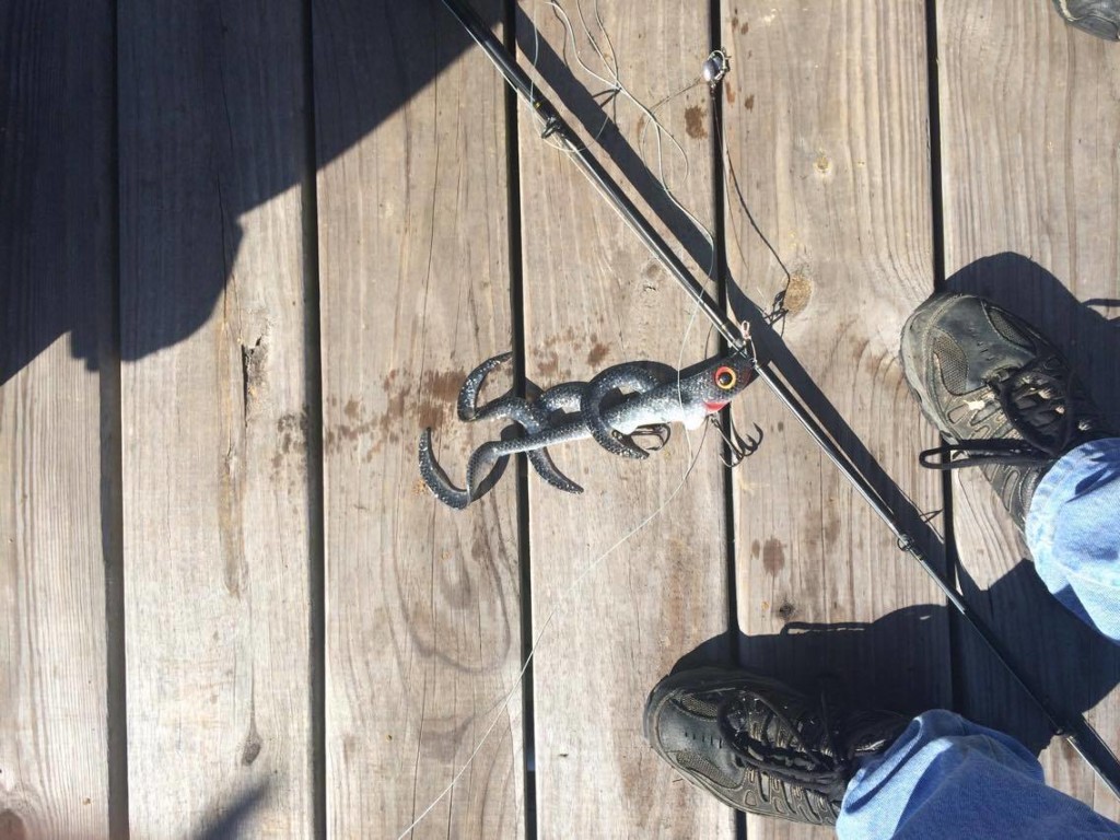 Soft Plastic time is coming fast. from Jeff Boggs.