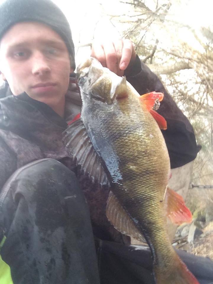1120gr og 41cm