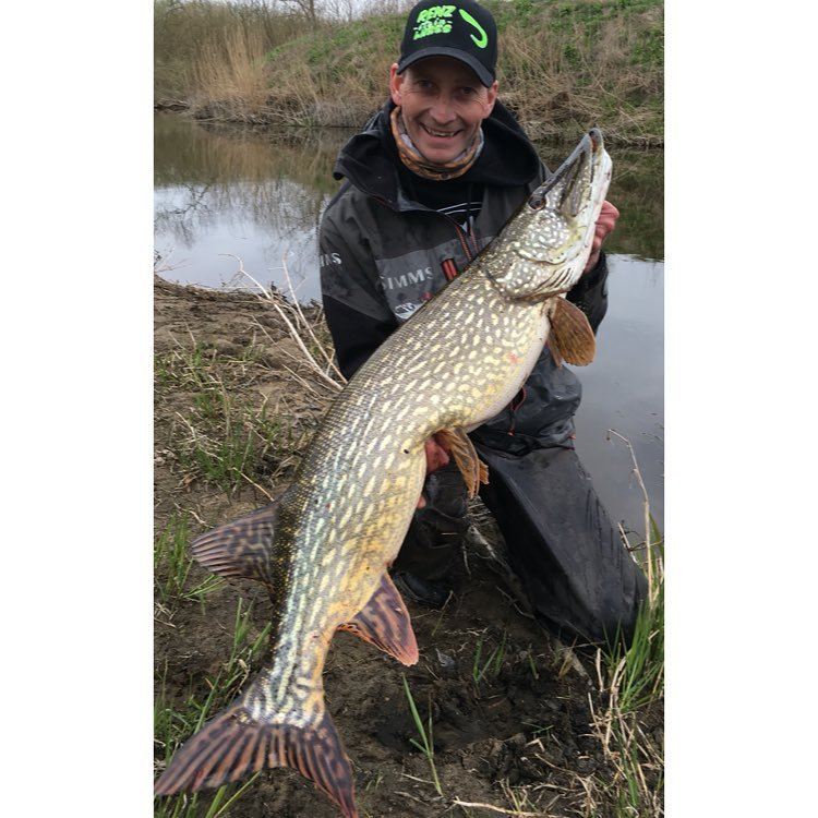 Renz beastlyshad pooldemo