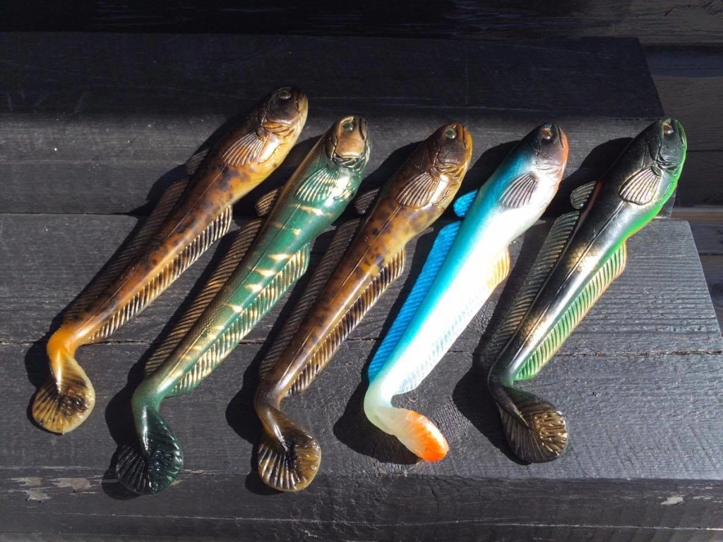 12991769_10153891884815020_161172441_o