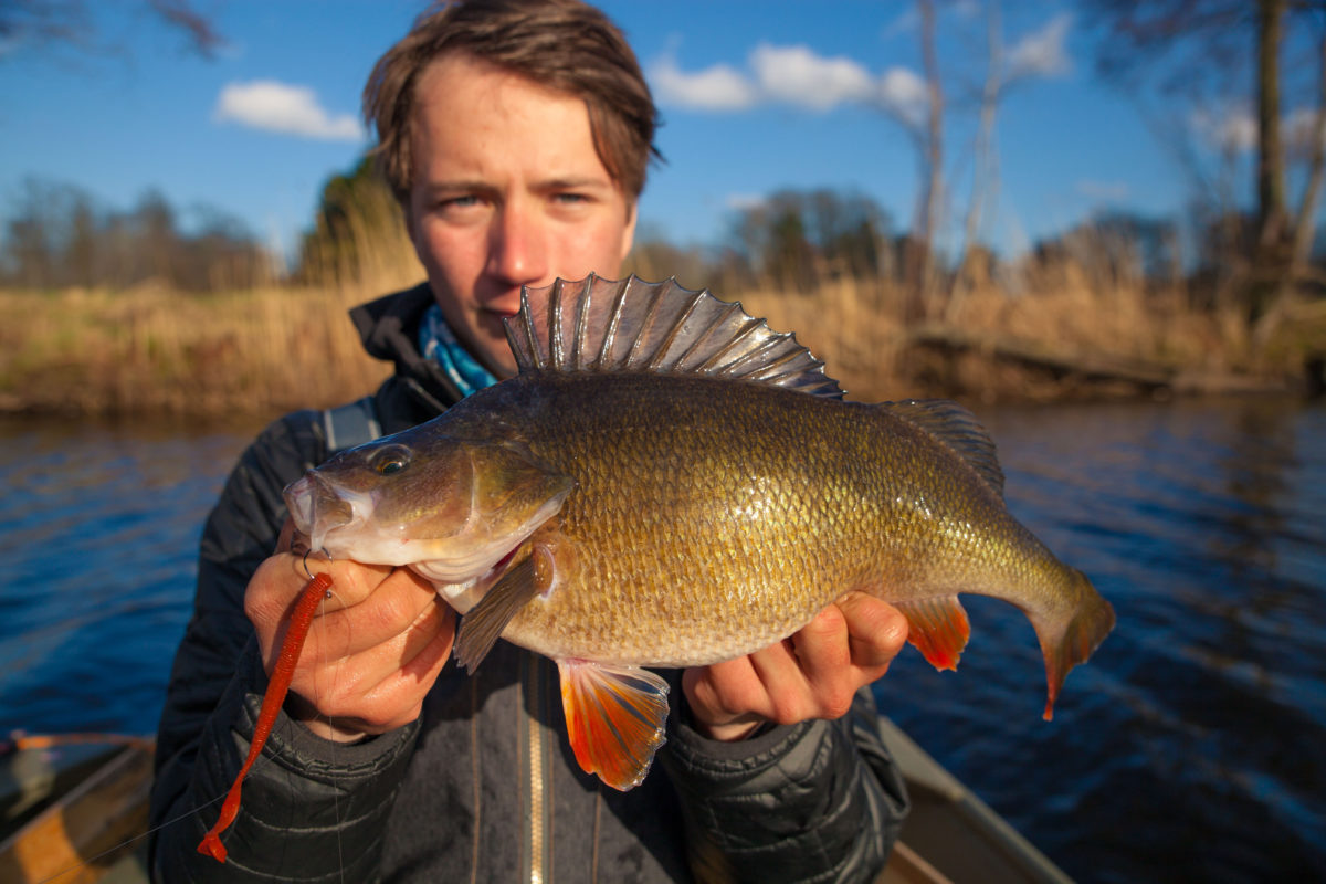 Tobias Ekvall med fisk nummer 2