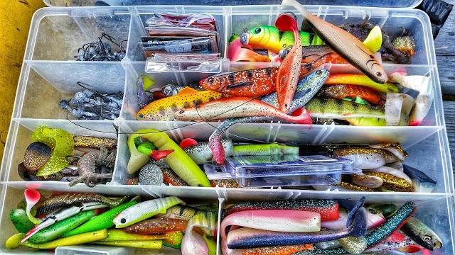 Første abbor tur på åpent vann  (team rapax)