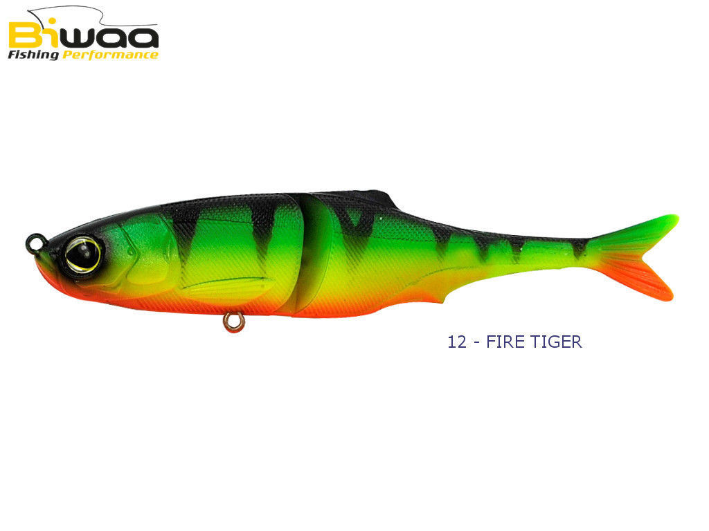 Biwaa Sub swimmer pooldemo