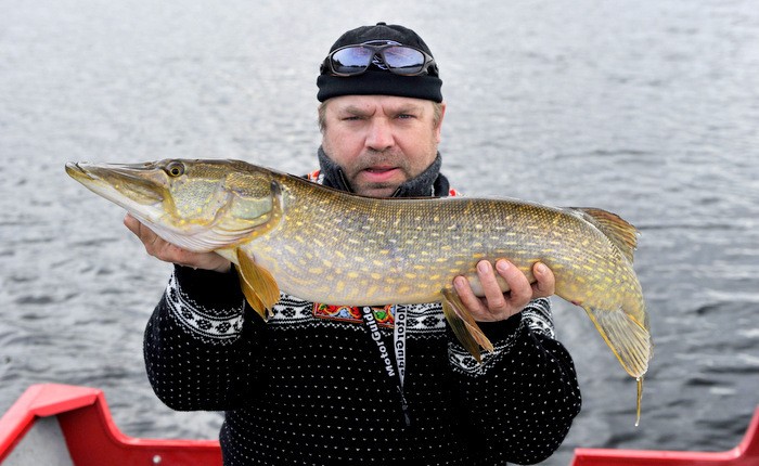 5800g 99cm