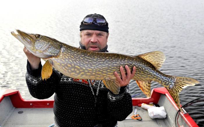 Erik Pikewallis Walmann klättrar i tabellen
